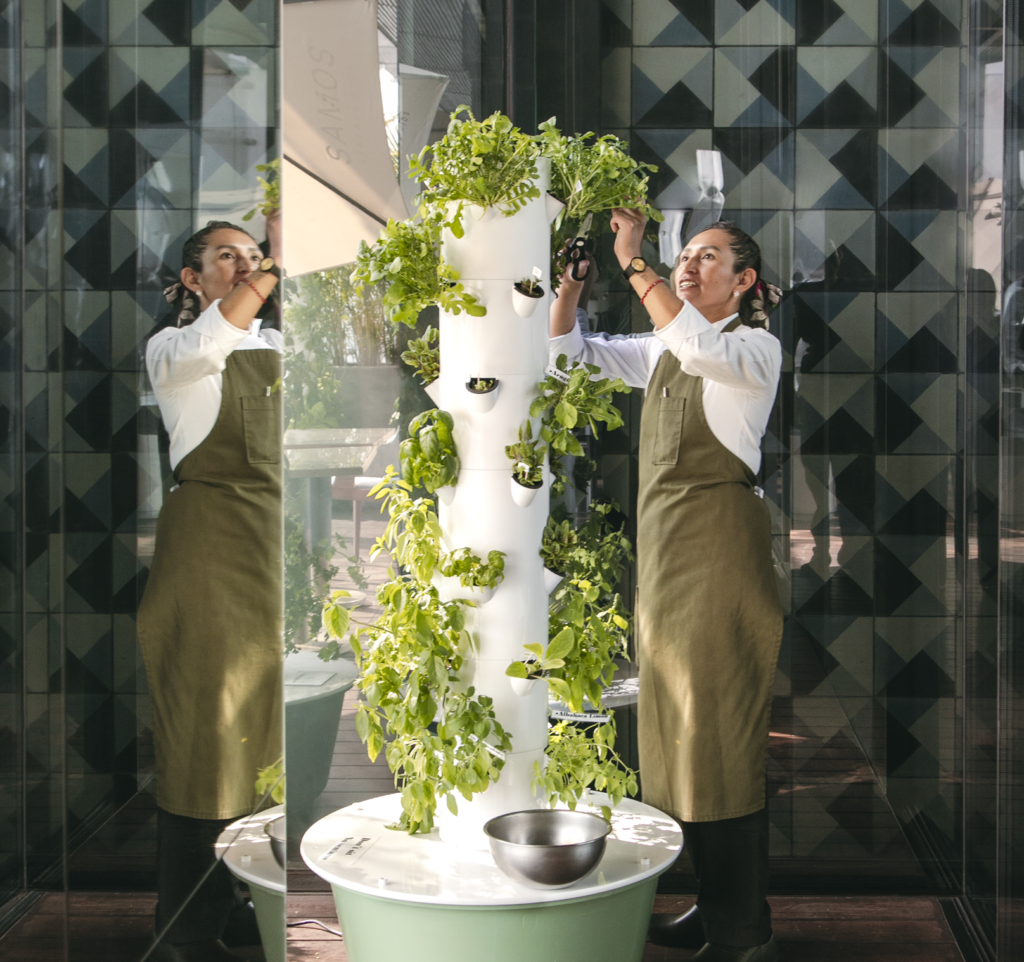 Chef Nayeli Caballero Ramírez leading the culinary concept at The Ritz-Carlton Mexico City